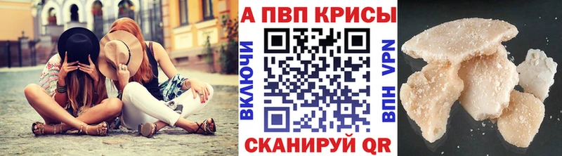 Alfa_PVP СК Балтийск
