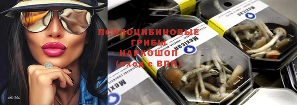 Альфа ПВП Беломорск