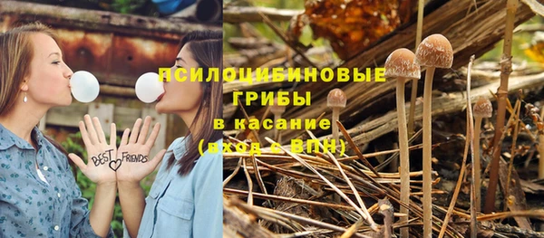 Альфа ПВП Беломорск