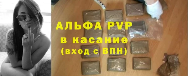 спиды Бородино