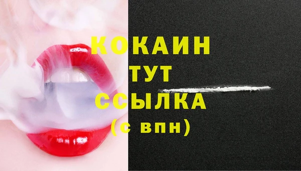 ECSTASY Белокуриха