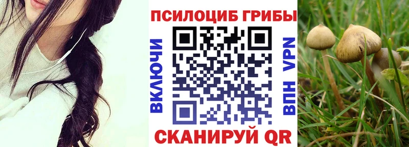 Псилоцибиновые грибы мухоморы  Балтийск 